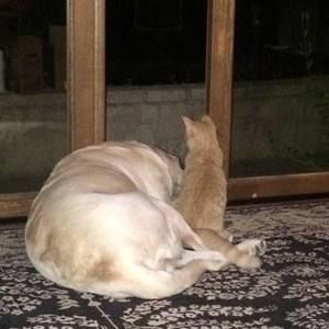 Meet your Posher, Rachelle